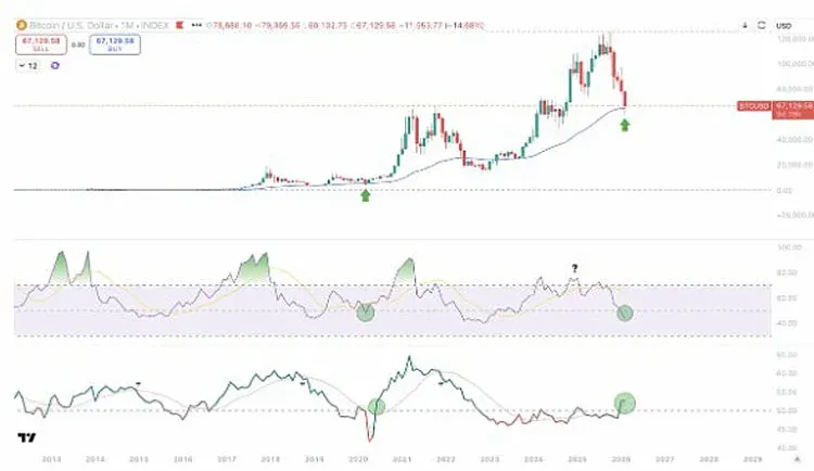 Gráfico mensal do preço do Bitcoin em relação ao dólar, mostrando a maior queda histórica