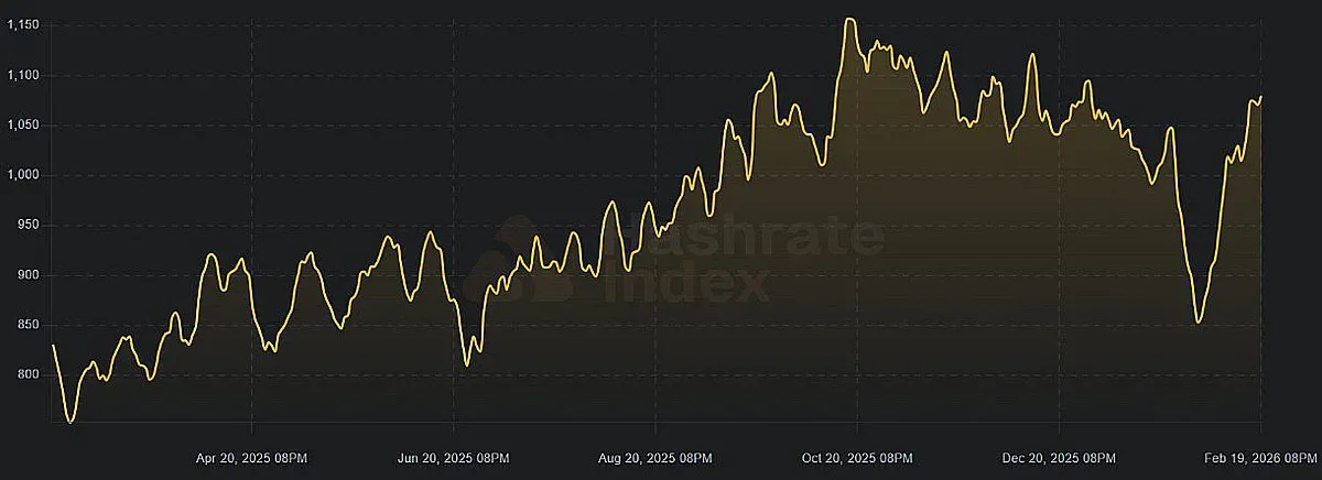 Bitcoin network hash‑rate change over the past seven days (EH/s)