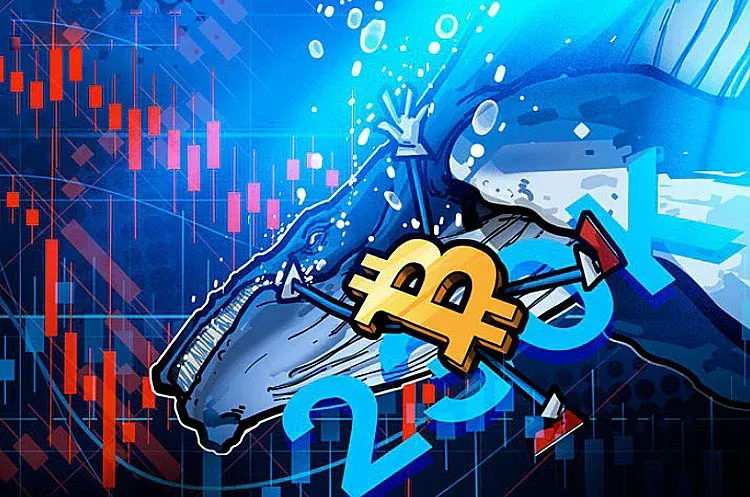 Baleia de Bitcoin (BTC) participa de compra em V, compensando a venda de 230 mil BTC