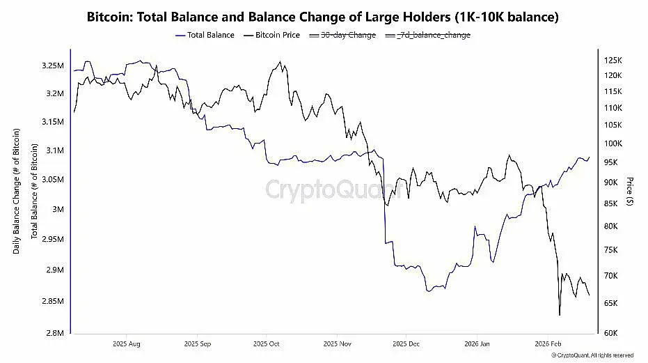 Baleia de Bitcoin compra, mitigando a venda de 230 mil BTC