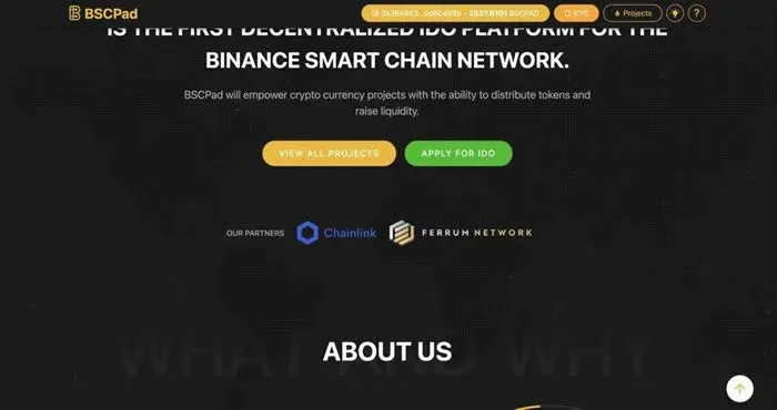 Token Subscription Interface Showing KYC Verification Process