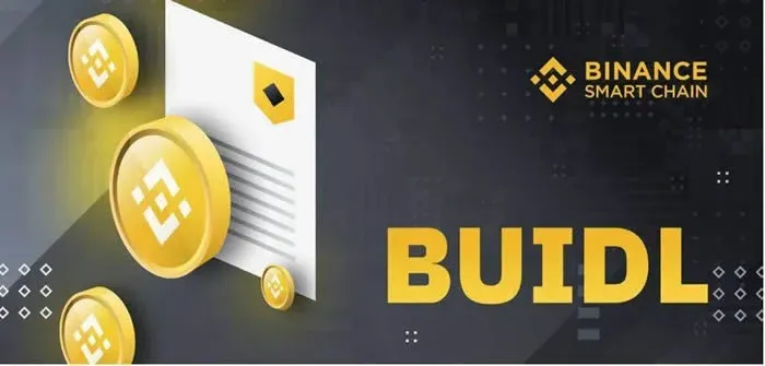 Binance Smart Chain Logo and Funding Support Diagram