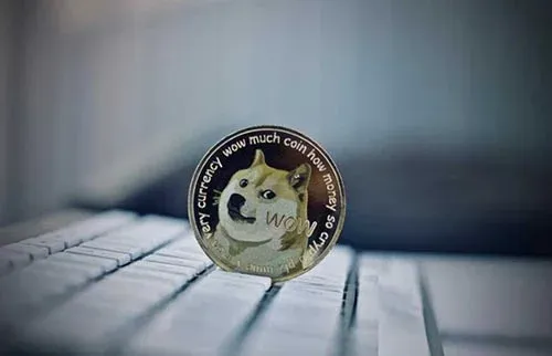 柴犬卡通形象与狗狗币标志并列