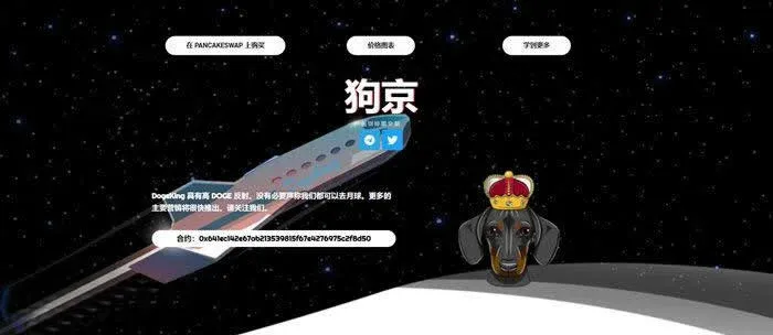 Ilustración del logo del token DOGEKING y su suministro total