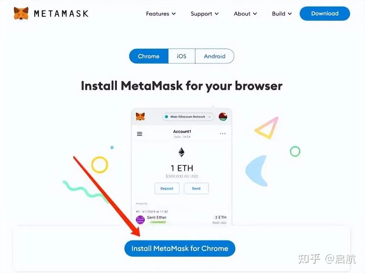MetaMask wallet creation success page showing new wallet generated