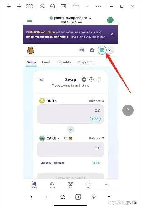 MetaMask 添加自訂網路的介面示意