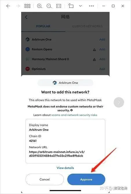 MetaMask add‑network pop‑up showing the Add button