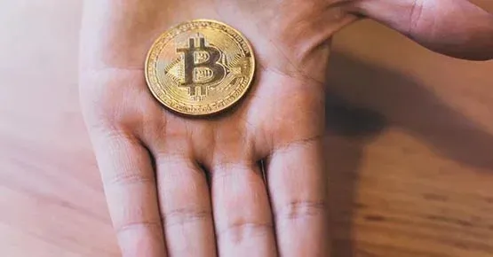 Bitcoin adoption rate is steadily rising! BTC Map: Over 6,300 stores support BTC payments in 2023