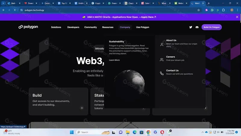 Polygon 徽标与多链扩容架构示意图