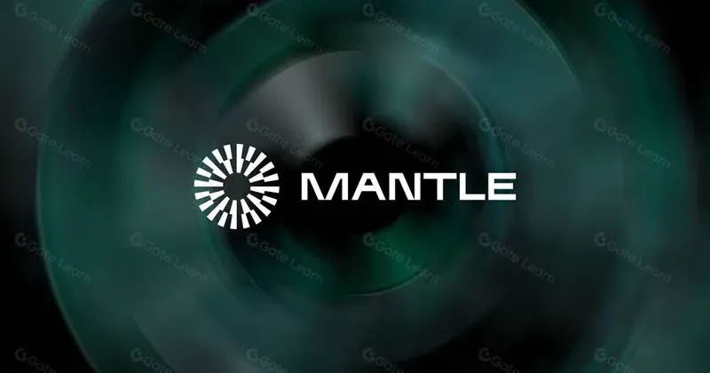 Mantle 标志与链上交易统计概览