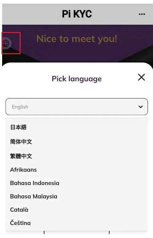 Pi Network KYC页面填写个人信息表单