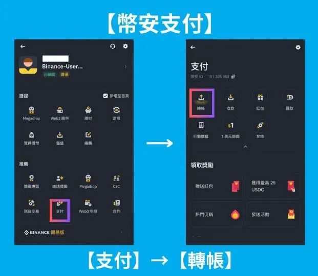 幣安支付頁面的收款人資訊輸入框