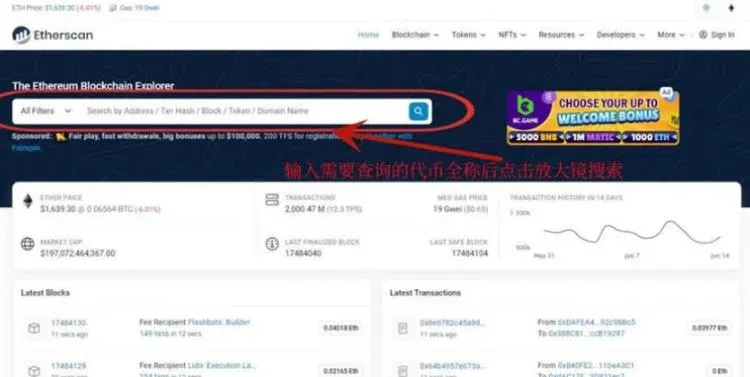 Etherscan search bar with magnifying‑glass icon and result list