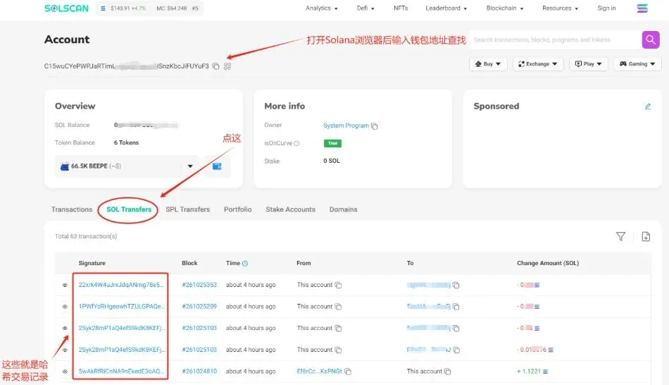 Barra de búsqueda de SolScan, donde se ingresan carteras, tokens o hashes de transacciones