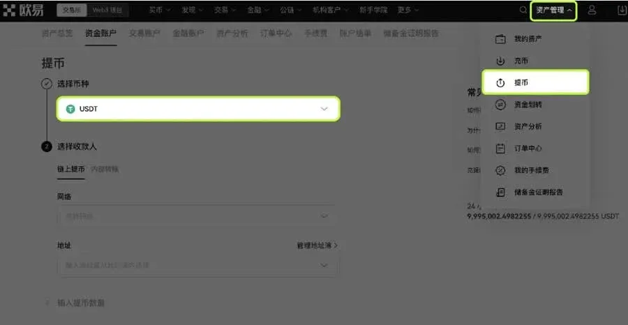 提现页面选择TRON链并填写USDT地址和金额