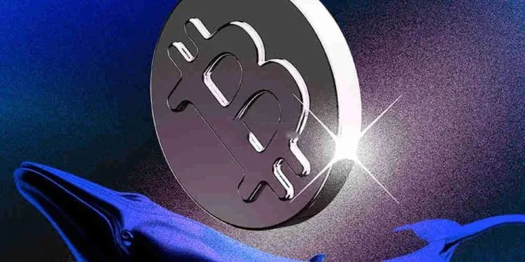 Locked blockchain contract address icon reminding of privacy protection