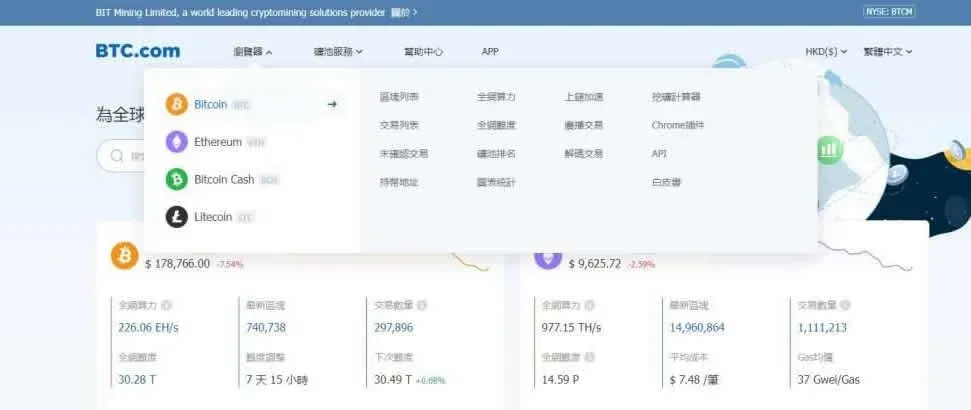 btc.com homepage search box example for address query