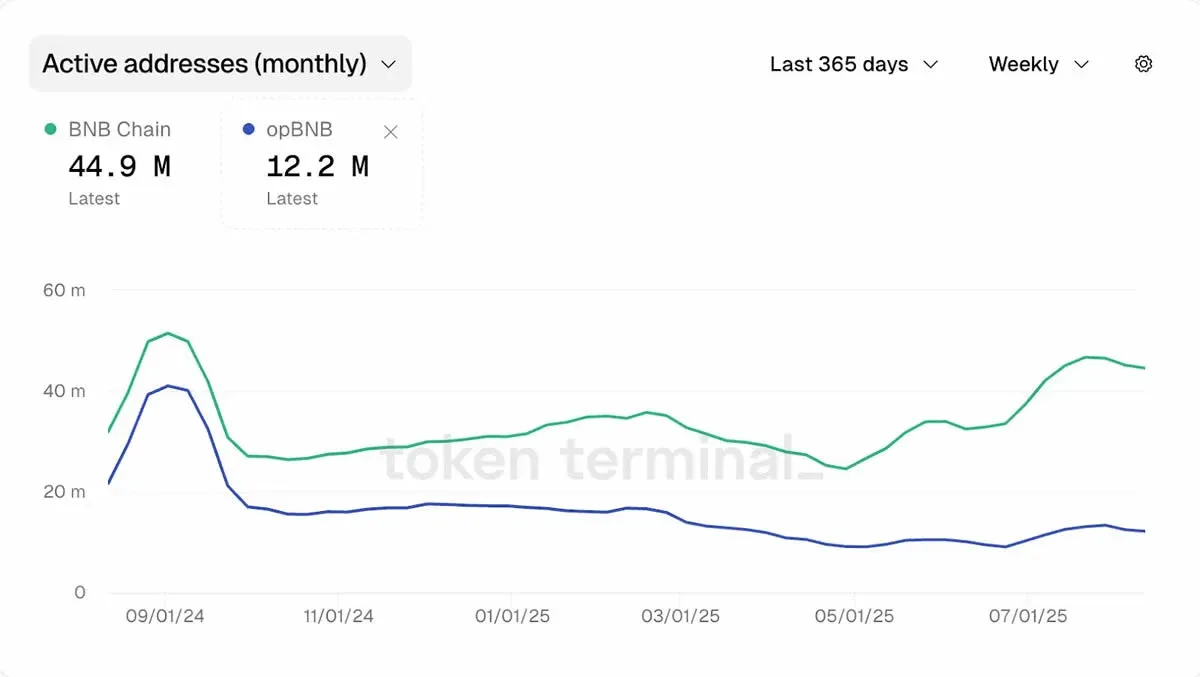 Trend chart of active addresses and TVL on BNB Chain in 2024