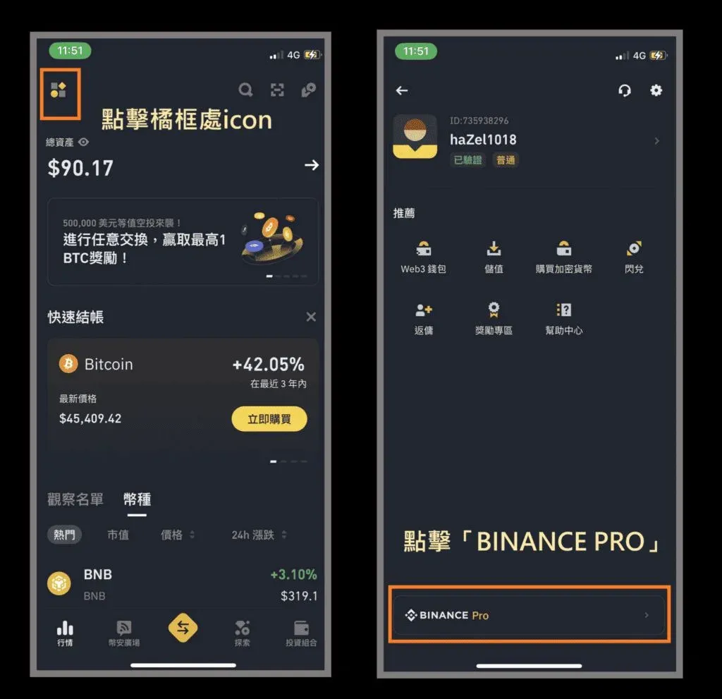 Binance spot page bottom BINANCE Pro switch