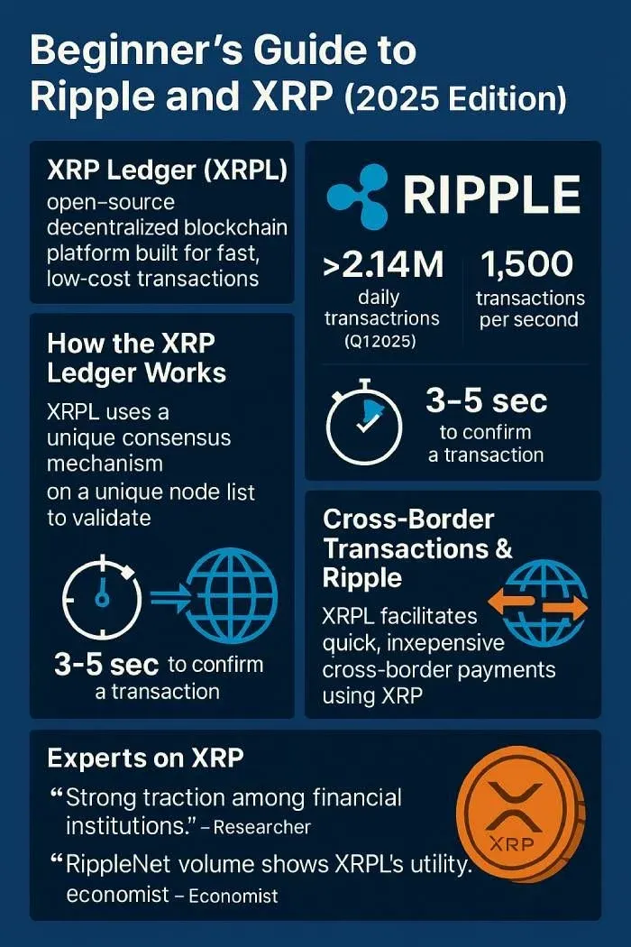 XRPL 共识协议示意图 节点间快速验证交易