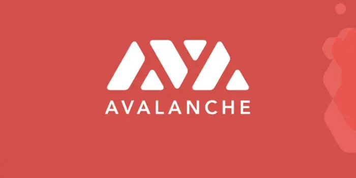 O que é AVAX? Valor de investimento e perspectivas do token AVAX?