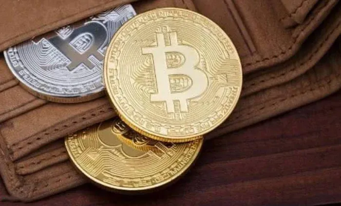 ¿Una cartera fría puede almacenar cualquier criptomoneda? ¿Cuáles son las carteras frías más seguras?