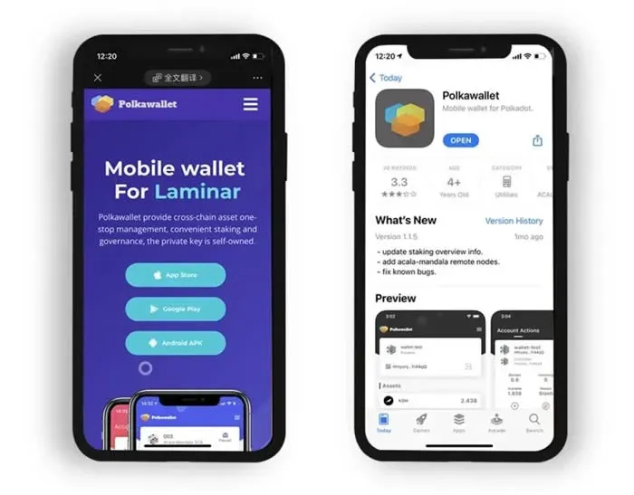 PolkaWallet tutorial: Polkadot (DOT) official wallet creation and staking