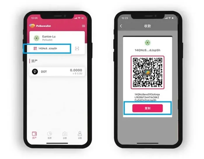 PolkaWallet tutorial: Polkadot (DOT) official wallet creation and staking