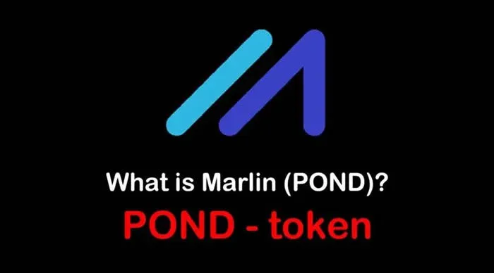 ¿Qué es la moneda POND? Análisis profundo del futuro y valor de la moneda POND