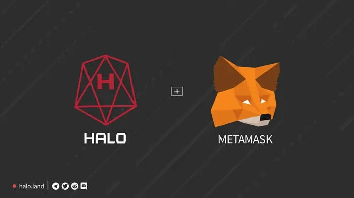 Metamask 小狐狸錢包如何設定 HALO 節點