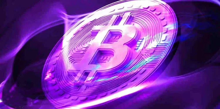 多款硬體冷錢包實物排列展示