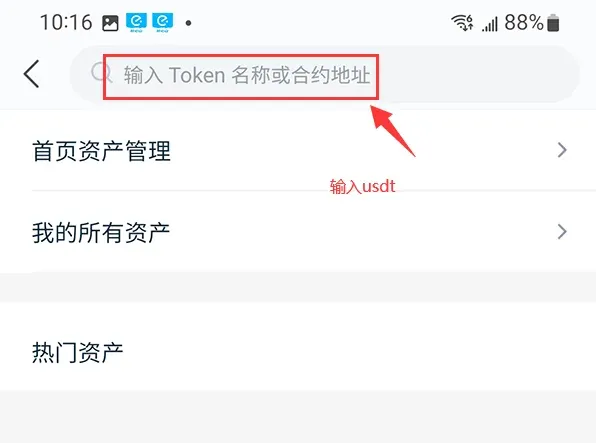 Resultados de búsqueda al ingresar USDT, solo aparece la opción USDT