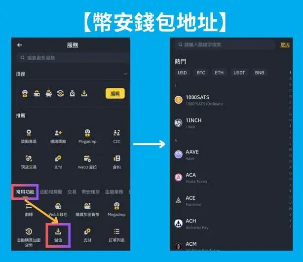 Página de ingreso de Binance, elige la moneda y muestra la red y la dirección