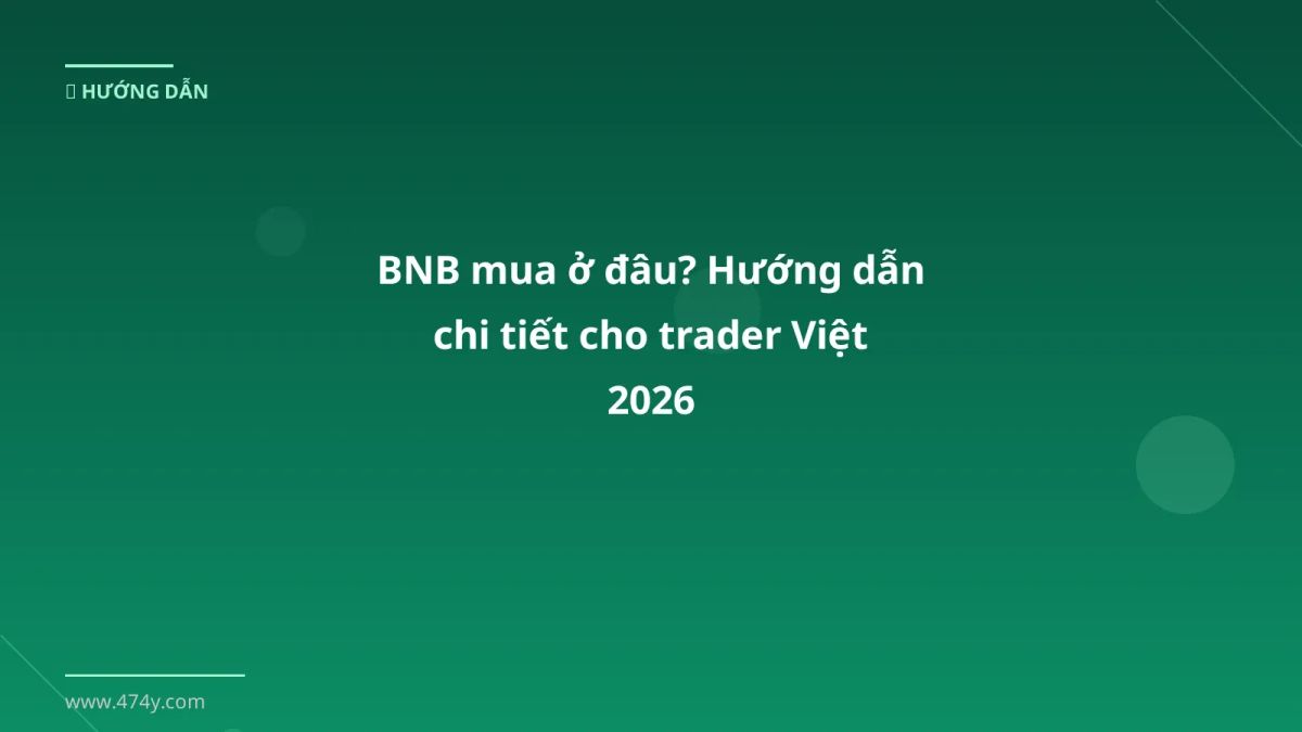 BNB mua ở đâu? Hướng dẫn chi tiết cho trader Việt 2026