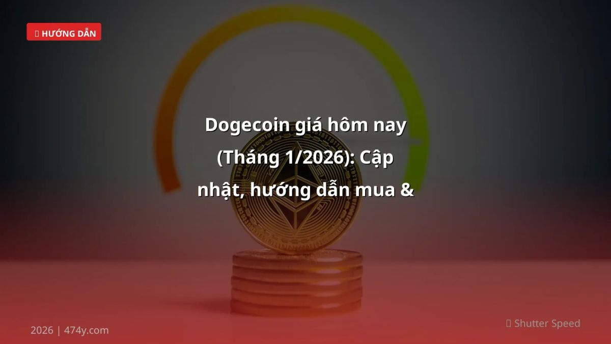 Dogecoin giá hôm nay (Tháng 1/2026): Cập nhật, hướng dẫn mua & rủi ro