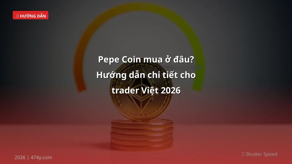 Pepe Coin mua ở đâu? Hướng dẫn chi tiết cho trader Việt 2026