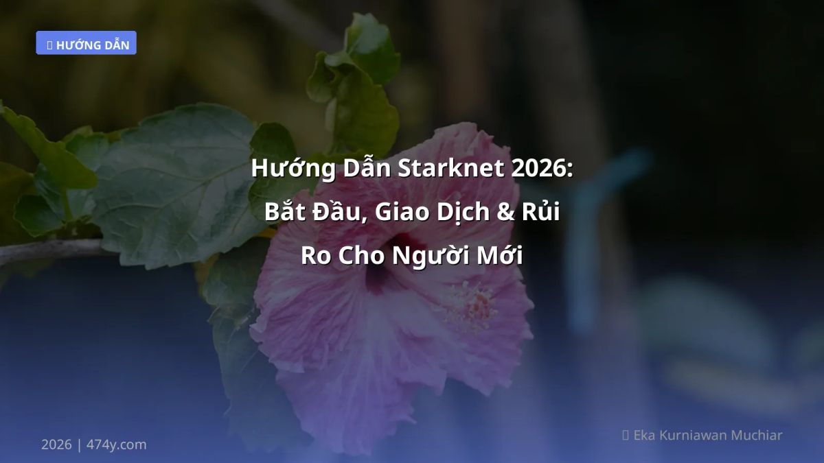 Hướng Dẫn Starknet 2026: Bắt Đầu, Giao Dịch & Rủi Ro Cho Người Mới
