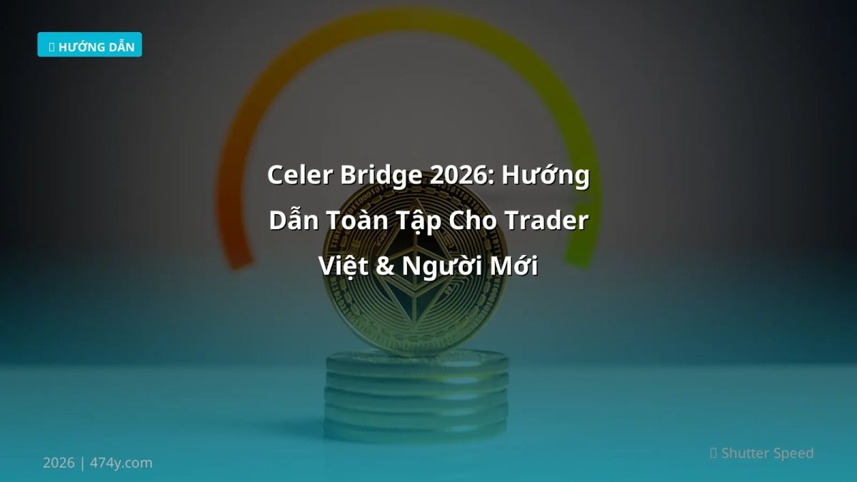 Celer Bridge 2026: Hướng Dẫn Toàn Tập Cho Trader Việt & Người Mới