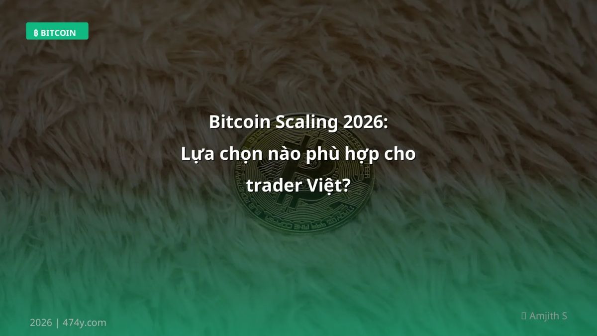 Bitcoin Scaling 2026: Lựa chọn nào phù hợp cho trader Việt?