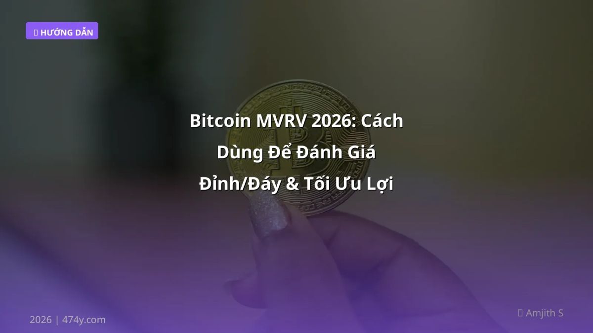 Bitcoin MVRV 2026: Cách Dùng Để Đánh Giá Đỉnh/Đáy & Tối Ưu Lợi Nhuận