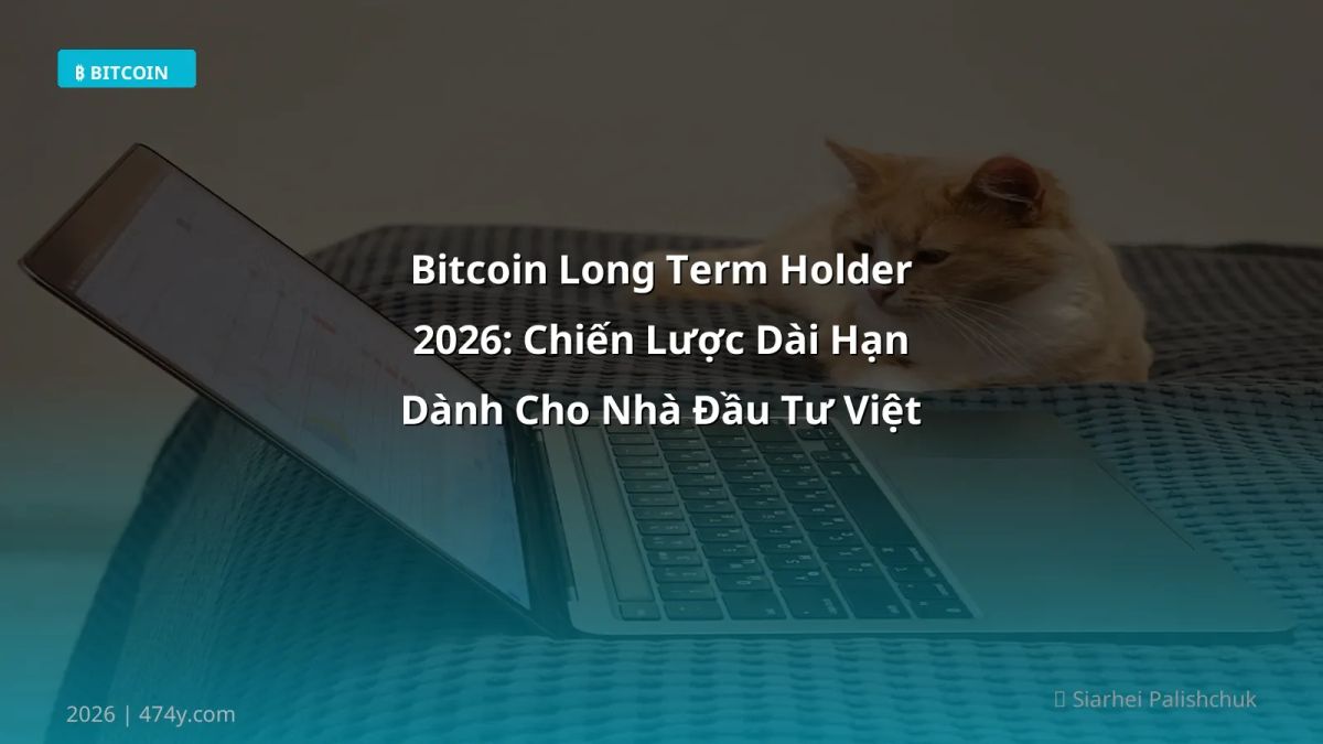 Bitcoin Long Term Holder 2026: Chiến Lược Dài Hạn Dành Cho Nhà Đầu Tư Việt