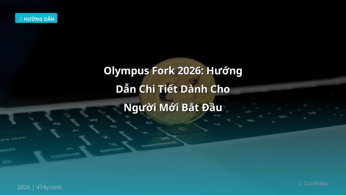 Olympus Fork 2026: Hướng Dẫn Chi Tiết Dành Cho Người Mới Bắt Đầu