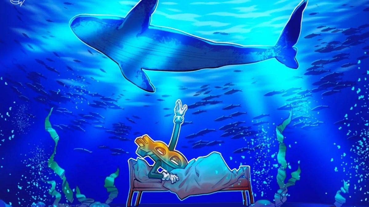 Bitcoin sụt 30% sau can thiệp Yen – Ae có nên hold hay chờ bounce?