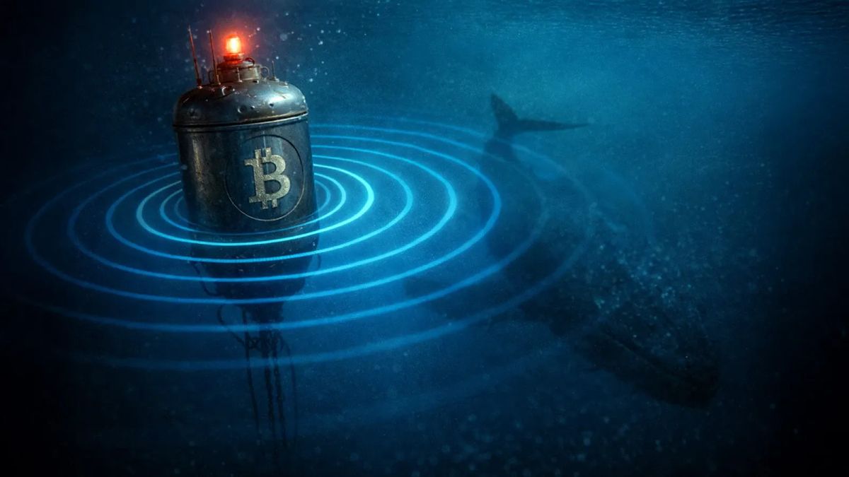 Bitcoin Whale hấp thụ toàn bộ khai thác ngày, giá chạm $90,000 - Kèo nào đang bốc?