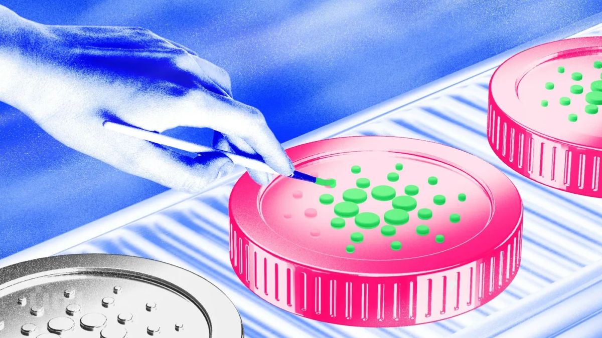 Cardano (ADA) Đang Bứt Phá Hay Sắp Đổ? Phân Tích Kỹ Thuật & Rủi Ro 9%