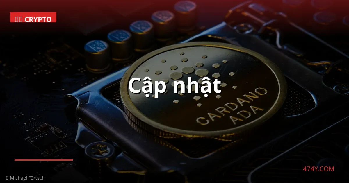 Cập nhật