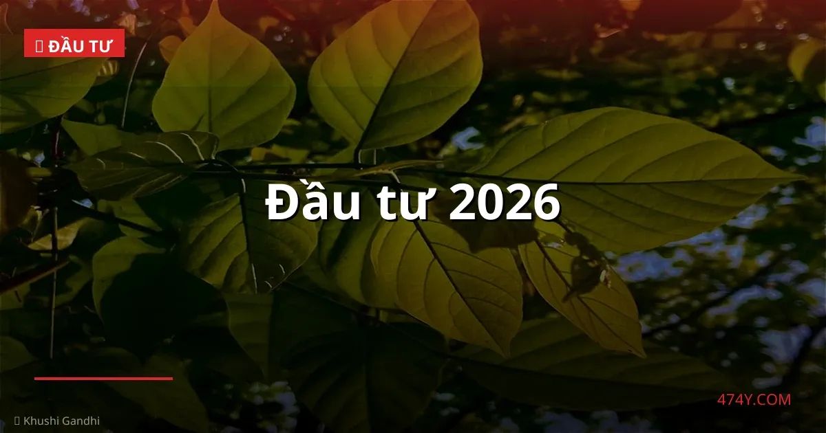 Đầu tư 2026