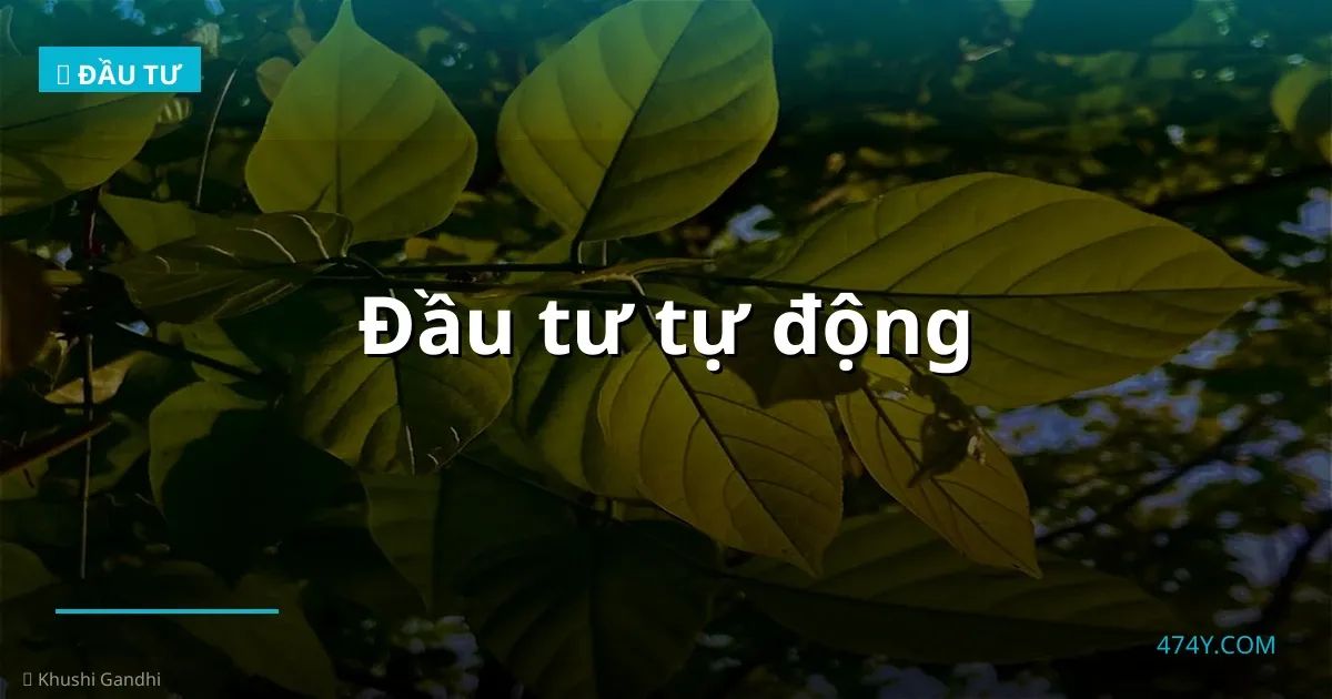Đầu tư tự động