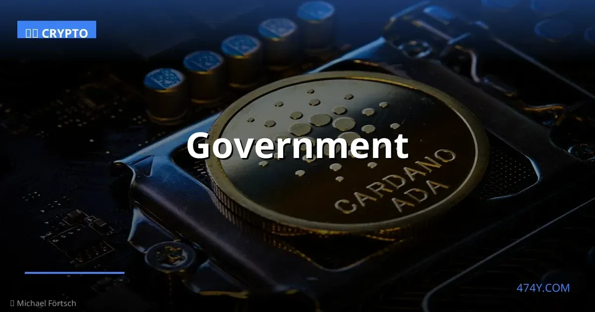 Government