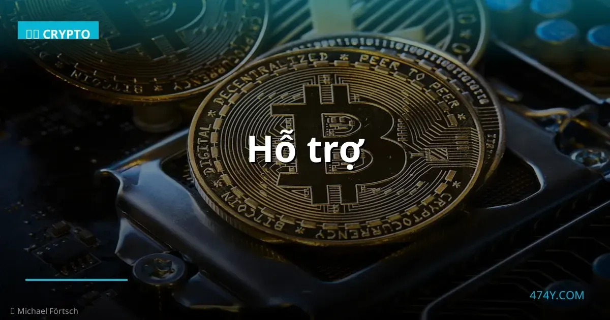 Hỗ trợ